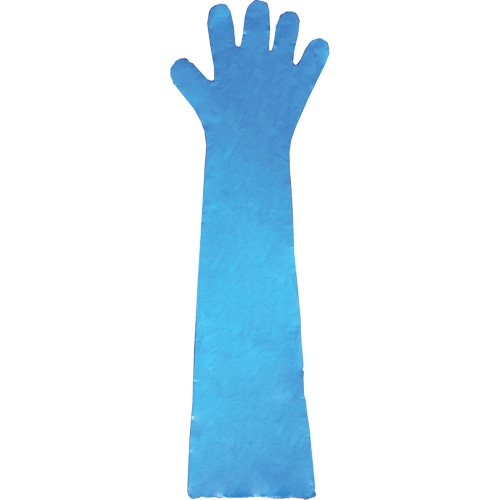 Gants jetables en latex, Gants jetables, Gants jetables en vinyle, Poly&eacute;thyl&egrave;ne, Sans poudre, Bleu Southpoint Industrial Supply