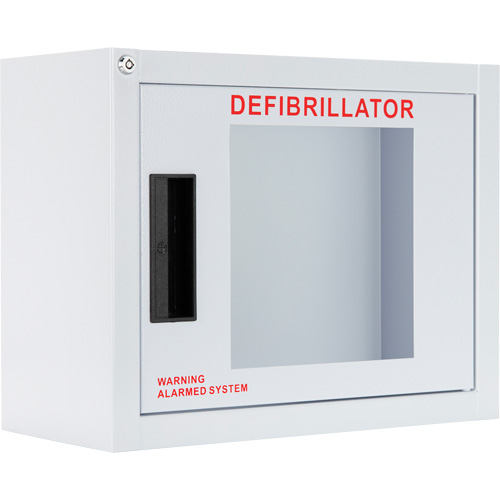 Standard Compact AED Cabinet with Alarm, Philips/Defibtech/Heartsine For, Non-Medical Southpoint Industrial Supply