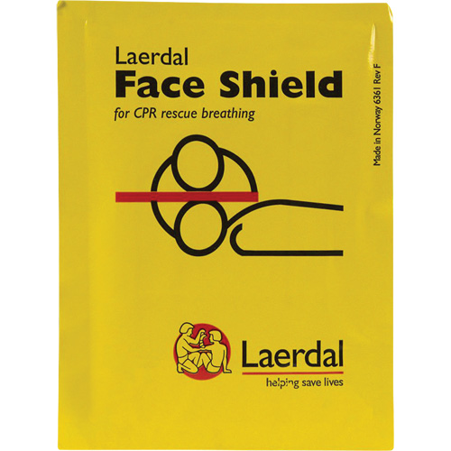 &eacute;cran facial Laerdal, Masque &agrave; usage unique, Classe 1/Classe 2 Southpoint Industrial Supply