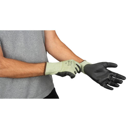 Gants &eacute;lastiques &eacute;cologiques sans coutures r&eacute;sistants &agrave; la coupe, Taille 8, Calibre 13, Rev&ecirc;tement Polyur&eacute;thane, Enveloppe en PEHP/rPET, ASTM ANSI niveau A4 Southpoint Industrial Supply