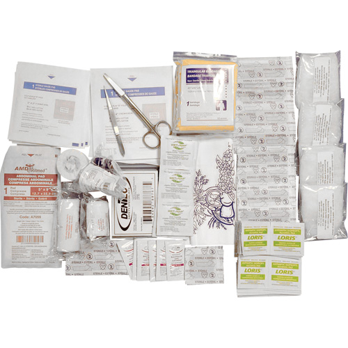 Trousse de premiers soins de base et recharge Shield, R&eacute;pond &agrave; la norme CSA Z1220-17 type 2 environnements &agrave; faible risque, Petit (2-25 travailleurs) Southpoint Industrial Supply