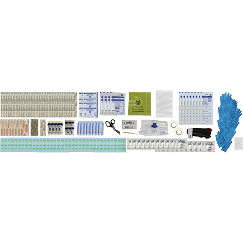 Shield First Aid Kit, Meets/Exceeds CSA Z1220-24 Type 2 Low-Risk Environment, Large (51-100 Workers) Southpoint Industrial Supply