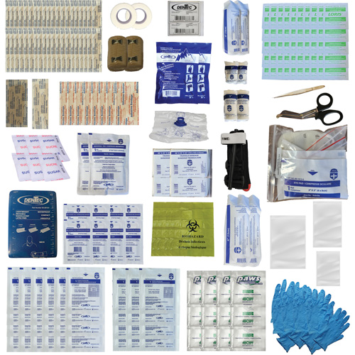 Shield First Aid Kit, Meets/Exceeds CSA Z1220-24 Type 3 High-Risk Environment, Medium (26-50 Workers) Southpoint Industrial Supply