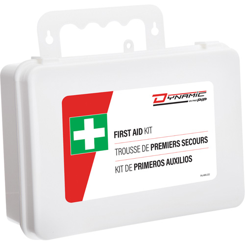 Dynamic First Aid Kit, Meets/Exceeds CSA Z1220-24 Type 2 Low-Risk Environment, Large (51-100 Workers) Southpoint Industrial Supply