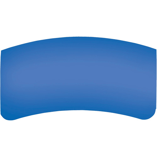 Bullard GenVX PETG Outer Lens Southpoint Industrial Supply