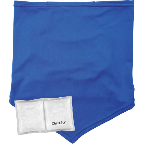 Cache-cou/bandana de refroidissement Chill-Its 6482 avec sachet r&eacute;frig&eacute;rant &agrave; changement de phase r&eacute;utilisable, grand/tr&egrave;s-grand, Bleu Southpoint Industrial Supply