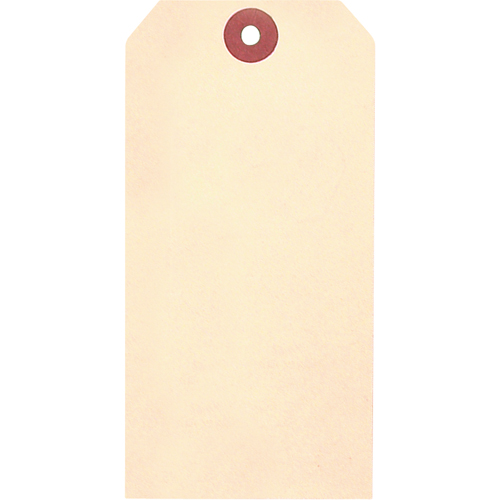 Manila Blank Tags, Cardstock, 1-5/8" W x 3-1/4" H Southpoint Industrial Supply