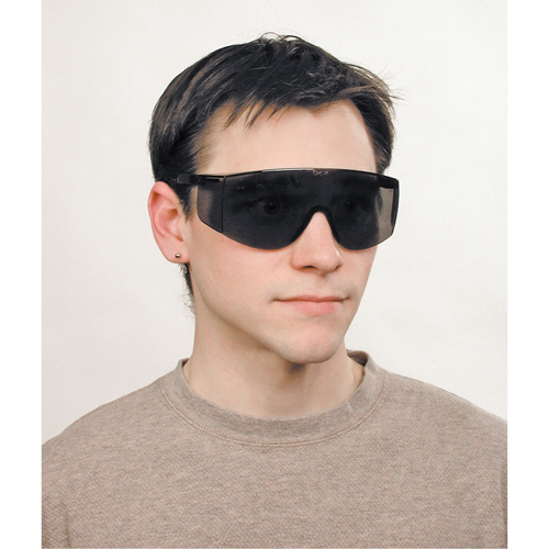 Lunettes de s&eacute;curit&eacute; Tacoma, Lentille Grise/fum&eacute;e, Anti-&eacute;gratignures, ANSI Z87+ Southpoint Industrial Supply