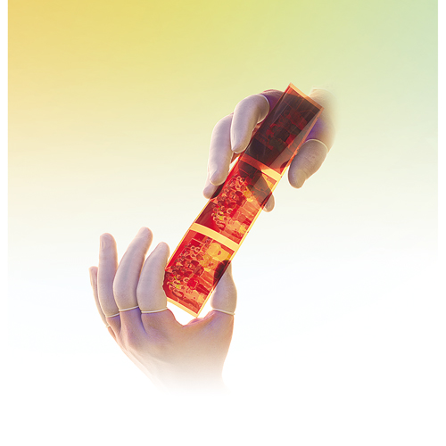 Doigtiers Qualatex en latex sans poudre QRP Southpoint Industrial Supply