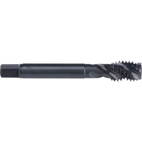 Taraud &agrave; cannelure en spirale 45°, Acier rapide au cobalt, Filet de 1/4"-20, 2-1/2" l Southpoint Industrial Supply