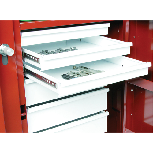 &eacute;tabli roulant, 49-7/8" la x 40-5/8" h x 26-7/8" p, Capacit&eacute; de 24,6 pi³ Southpoint Industrial Supply