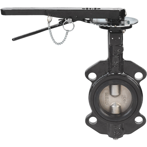 Butterfly Valves - Series BFV, 5" Pipe, 225 PSI Southpoint Industrial Supply