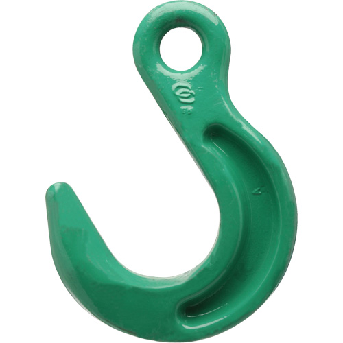 Crochet de fonderie &agrave; œil Cam-Alloy Southpoint Industrial Supply