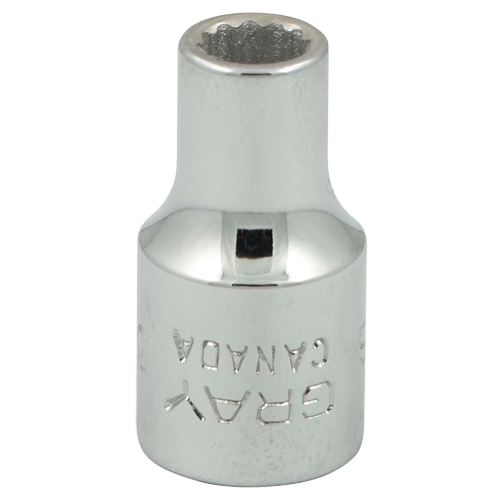 Socket, 3/16", 1/4" Drive, 12 Points Southpoint Industrial Supply