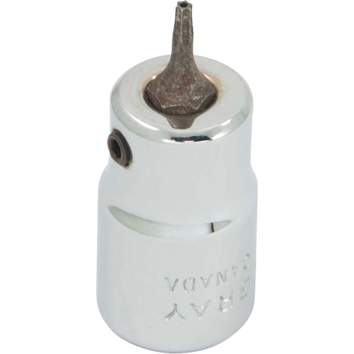 Douille &agrave; embout, Torx, T7 x 2-1/8" lo, Prise 3/8" Southpoint Industrial Supply