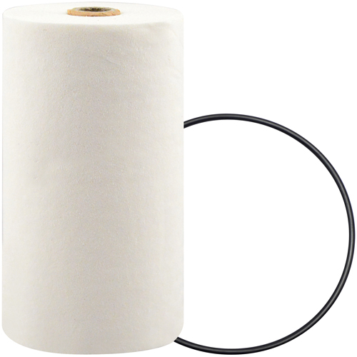 P7247 Filtre pour liquide de refroidissement &agrave; visser avec additif BTE Southpoint Industrial Supply