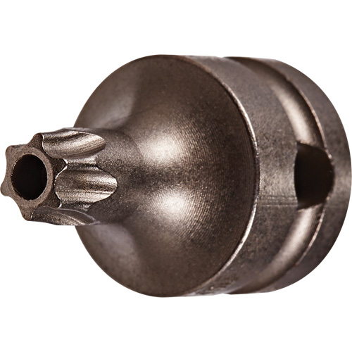 Socket Bit, Torx&reg; Tamper, 25 x 1" L, 3/8" Drive Southpoint Industrial Supply