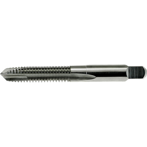 Taraud &agrave; pointe spiral&eacute;e surdimensionn&eacute;e Nitro Drillco, Acier rapide, Filet de 10-32 Southpoint Industrial Supply