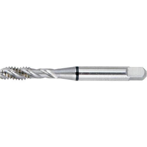 Taraud BT super haute performance &agrave; cannelure spiral&eacute;e DRILLCO, Acier rapide, Filet de 10-24, 2-3/8" l Southpoint Industrial Supply