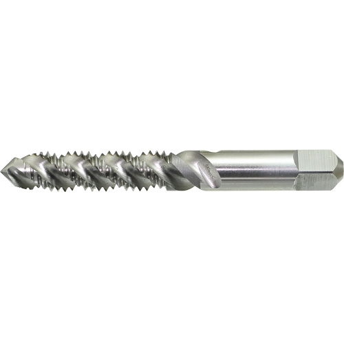 Taraud &agrave; main &agrave; cannelure spiral&eacute;e DRILLCO, Acier rapide, Filet 1/4"-20 Southpoint Industrial Supply