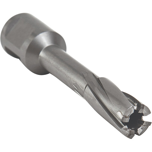 Outil de coupe annulaire avec mandrin soud&eacute;, Diam&egrave;tre de 12 mm, Carbure, Profondeur de la coupe de 55 mm, Tige 3/4" Southpoint Industrial Supply