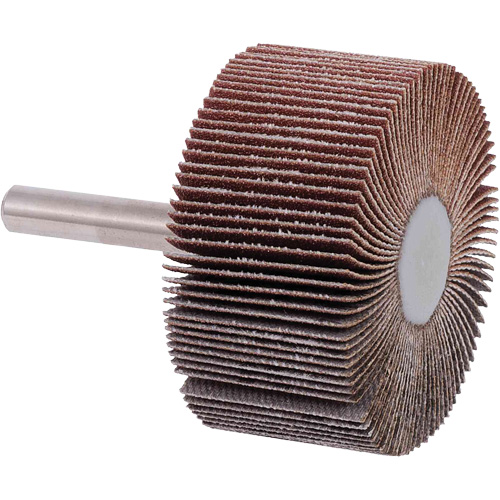Disques &agrave; lamelles, Grain 40, 2" x 1" Southpoint Industrial Supply