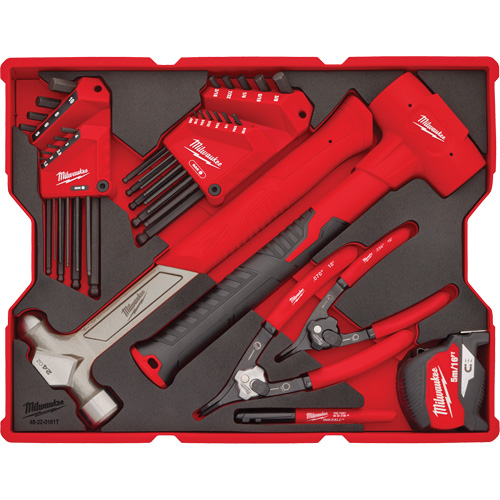 Hex Key & Hammer Set with Tray for PACKOUT Drawers Southpoint Industrial Supply