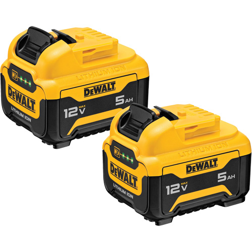 Bloc-piles Max*, Lithium-ion, 12 V, 5 Ah Southpoint Industrial Supply