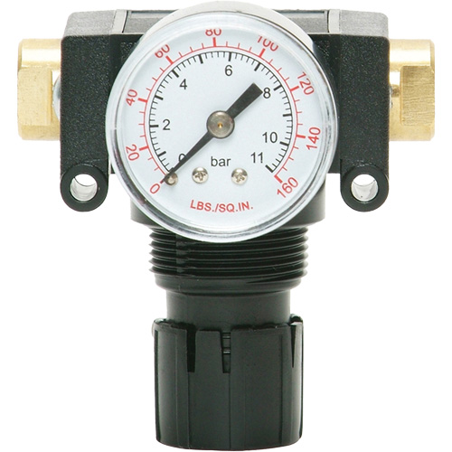 MODULAIR 200 Acetal Piston Regulator, 1/4" NPT, 150 PSI Max. PSI, In Line/Modular Southpoint Industrial Supply
