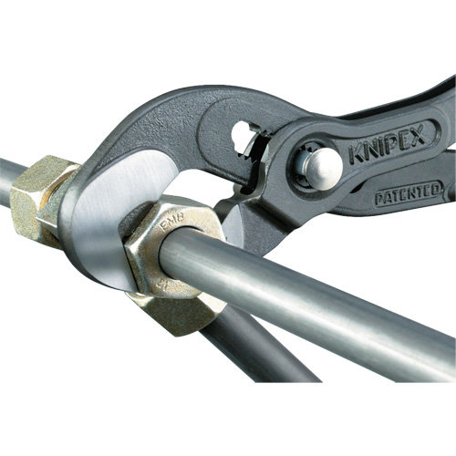 Pince Raptor, 10" Southpoint Industrial Supply
