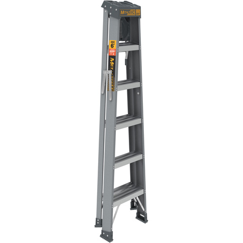 Step Ladder with Paint Tray, 6', Fibreglass, 225 lbs. Capacity, Type 2 Southpoint Industrial Supply