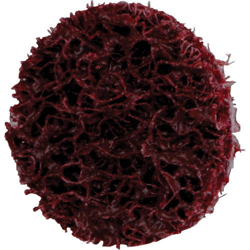 Disque de conditionnement de surface &agrave; remplacement rapide Standard Abrasives, 3/4" dia., Grain Moyen, Oxyde d'aluminium Southpoint Industrial Supply