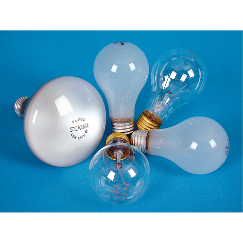 LAMPE INCANDESCENTE,25W,130V,GIVREE,2/PQT Southpoint Industrial Supply