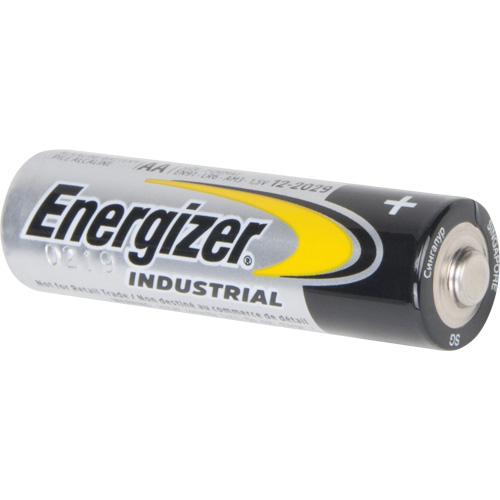 Alkaline Industrial Batteries, AA, 1.5 V Southpoint Industrial Supply
