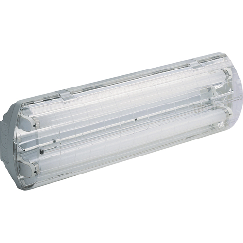 Lampes Vapor-Tight s&eacute;rie BS100 Illumina, Polycarbonate, 347 V Southpoint Industrial Supply