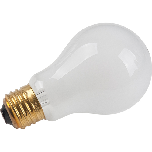 Economy Line Incandescent Lamps Southpoint Industrial Supply