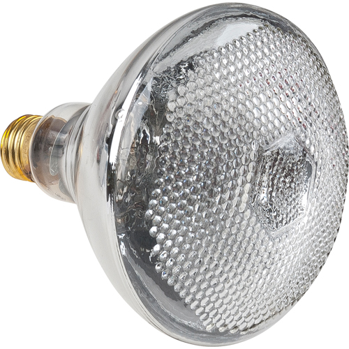 Economy Line Incandescent Lamps Southpoint Industrial Supply