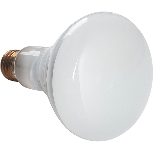 Economy Line Incandescent Lamps Southpoint Industrial Supply