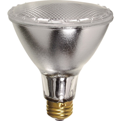Gammes de lampes &eacute;conomiques Southpoint Industrial Supply