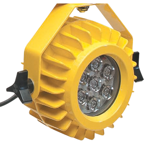 Heavy-Duty LED Dock Light - Head Only Southpoint Industrial Supply