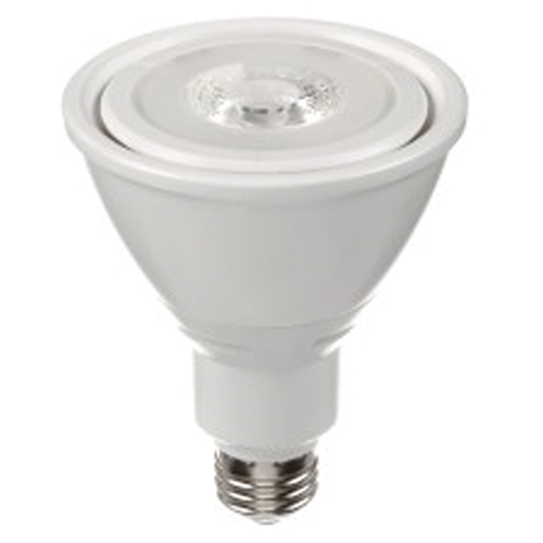 LED Bulb, PAR30, 10 W, 800 Lumens, Medium Base Southpoint Industrial Supply