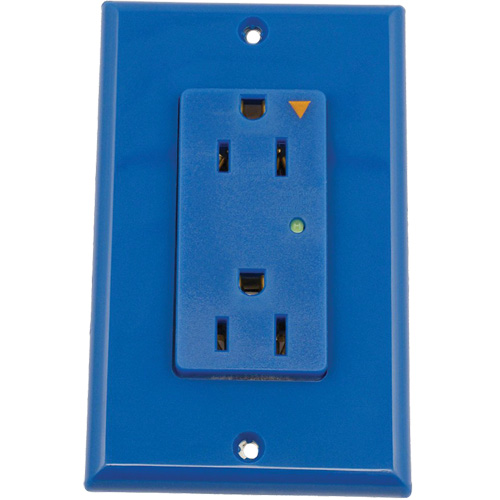 Prise isol&eacute;e avec protection contre les surcharges Decora Southpoint Industrial Supply