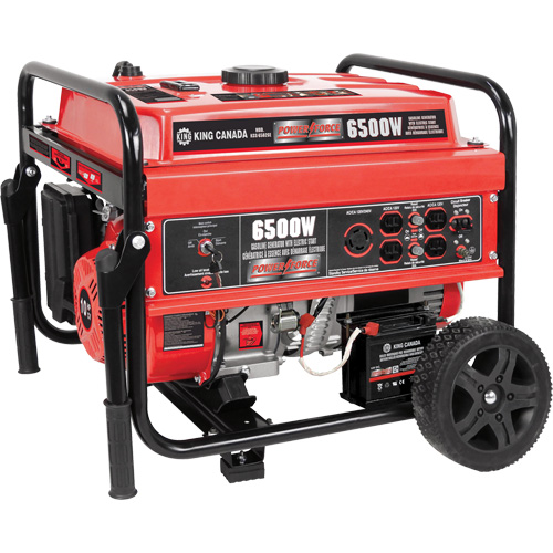 Electric Start Gas Generator with Wheel Kit, 6500 W Surge, 5000 W Rated, 120 V/240 V, 20 L Tank Southpoint Industrial Supply