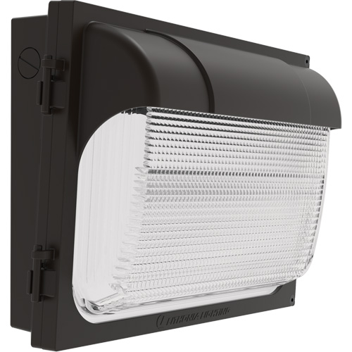 TWX Wall Luminaire, LED, 480 V, 9 W - 54 W, 14" H x 18" W x 5" D Southpoint Industrial Supply
