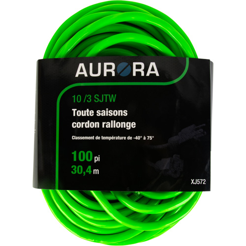 Cordon rallonge de calibre industriel, Toutes saisons, SJTW, AWG 10/3, 15 A, 100' Southpoint Industrial Supply