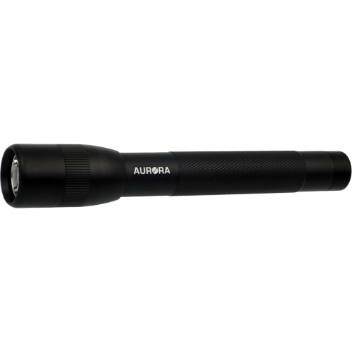 IPX4 Flashlight, 100 Lumens, AA Batteries Southpoint Industrial Supply