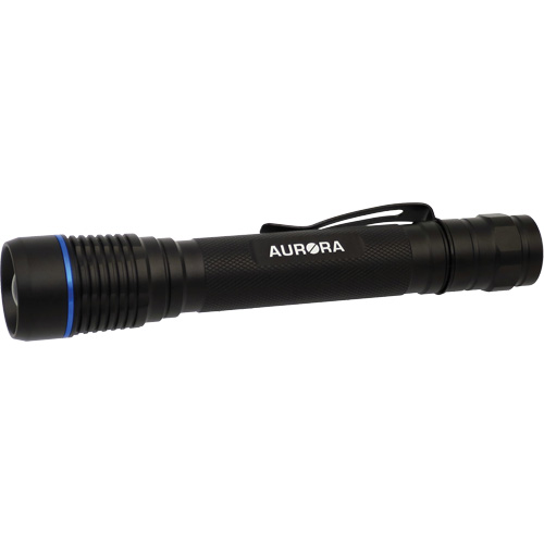 IPX7 Flashlight, LED, 250 Lumens, AA Batteries Southpoint Industrial Supply