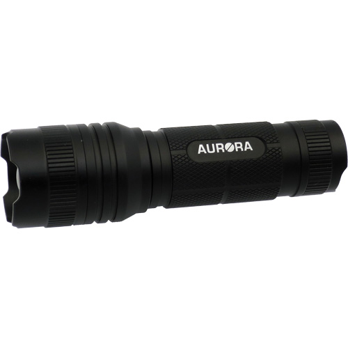 Lampe de poche IPX4, 500 lumens, Piles AAA Southpoint Industrial Supply