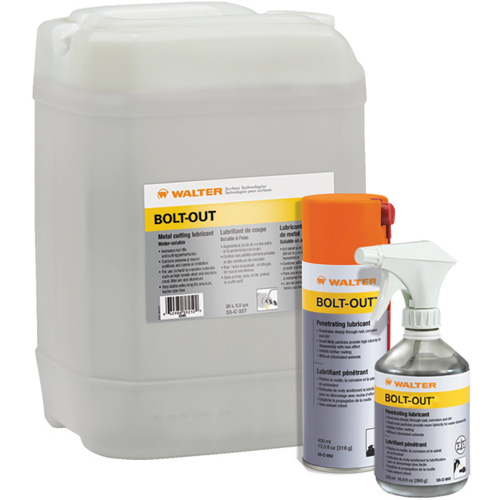 Bolt-Out Penetrating Lubricant, Aerosol Can Southpoint Industrial Supply
