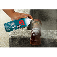 3&reg; Premier Rust Inhibitor, Aerosol Can Southpoint Industrial Supply
